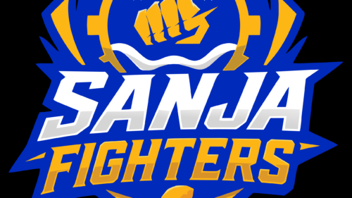 Sanja Fighters em São José dos Campos: 5 jogos de luta, 29 e 30 de agosto
